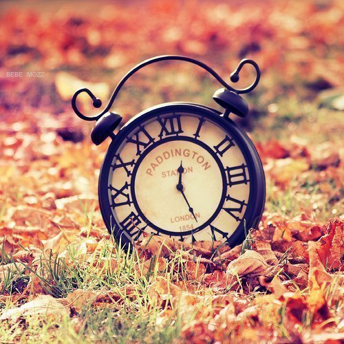 sveglia orologio bosco autunno autumn fall paddington