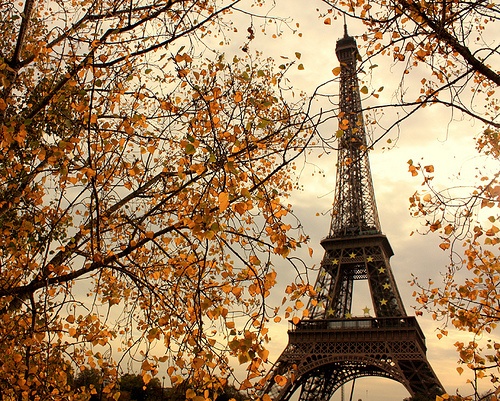 Parigi Tour Eiffel autunno autumn fall
